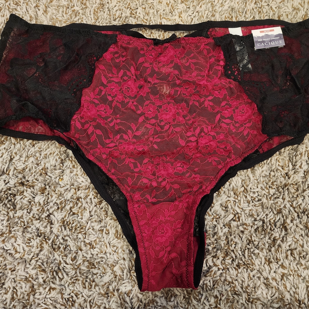 Cacique Lace Cheeky Panty in Wine and Black